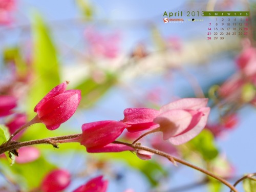 Smashing Desktop Wallpaper - April 2013 (Easter Edition)