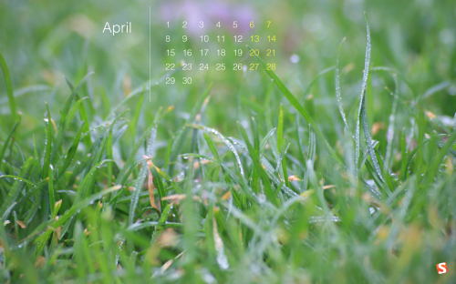 Smashing Desktop Wallpaper - April 2013 (Easter Edition)