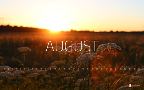 aug-13-estonian-summer-sun-preview.png