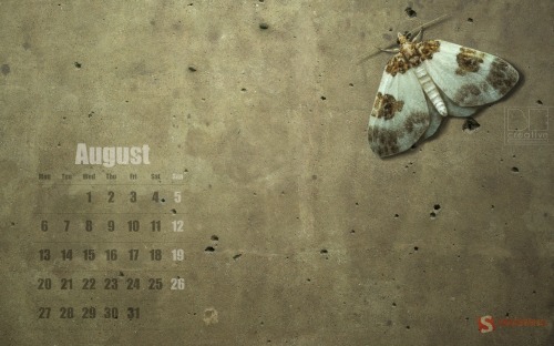 Monthly Quality Desktop Wallpaper - August 2012