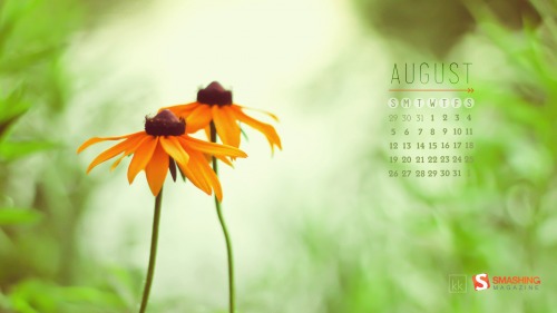 Monthly Quality Desktop Wallpaper - August 2012