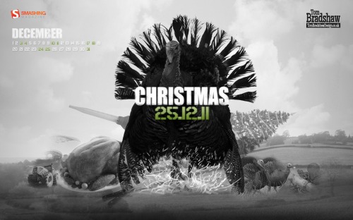 Smashing Wallpaper - december 11