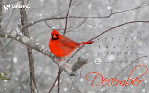 Smashing Wallpaper - december 11