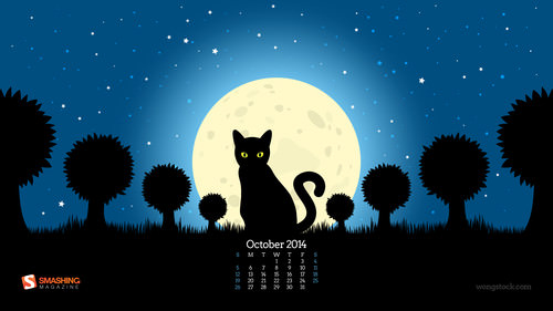 Night of the Black Cat