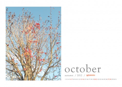 Desktop Wallpaper - October 2012